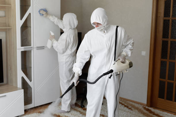 Certified Mold Removal in Bay St Louis, MS