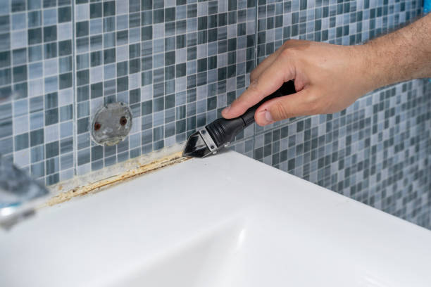 Best Office Mold Removal Services  in Bay St Louis, MS